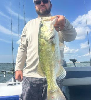 Bass action in Lake Lavon