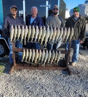 Early morning bite on Lake Erie, Ohio—reeling in trophy walleye like a pro.
