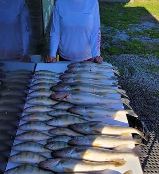 Perch fishing on Lake Erie, OH—freshwater fishing adventures you won’t forget.