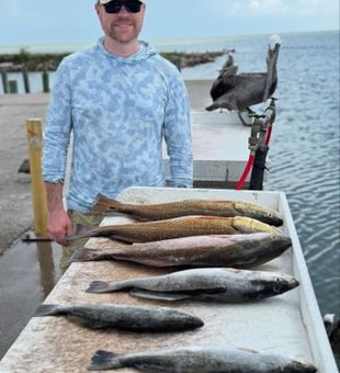 Another day another fish!