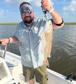 Redfish showing up, so should you!