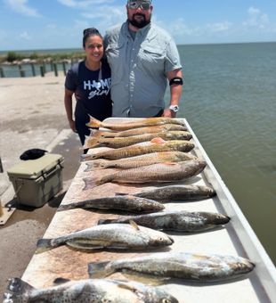 It's the season where every fish can turn up