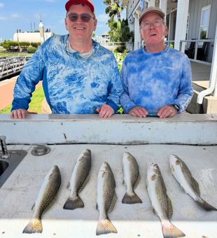 Six beautiful speckled trout from League City waters!