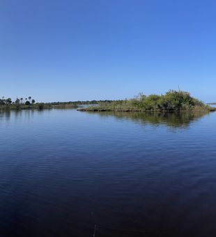 Discover the Beauty of Crystal River Fishing