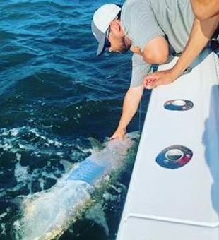 Tarpon Fishing Charter in Florida!
