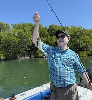 Feisty snook on light tackle