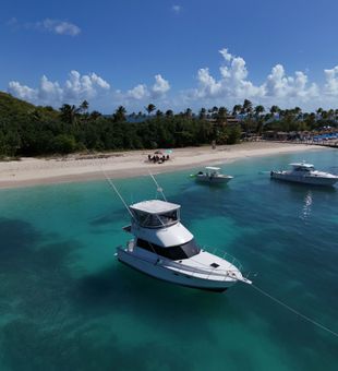 Your Choice For Fajardo Snorkeling Excursions