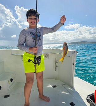 Private Boat Charter Icacos Palomino Experience