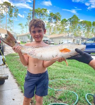 Casting for reds Jacksonville inshore