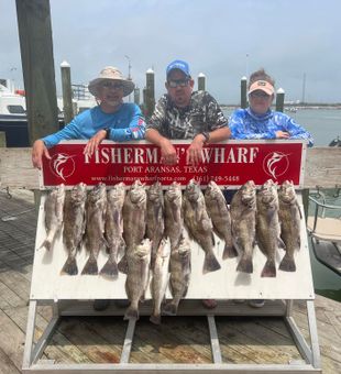 Port Aransas Fishing Bliss