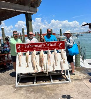 Port Aransas Fishing Majesty