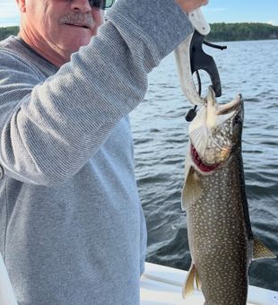 Nice lake trout from Peru NY waters!
