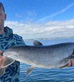 Beautiful Peru NY lake trout from today's trip!