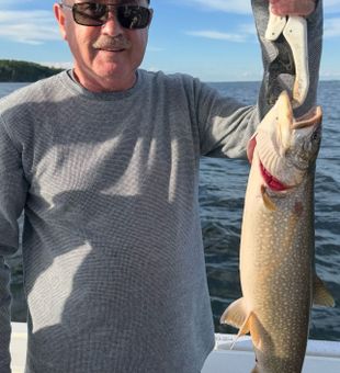 Beautiful Peru NY lake trout ready for the table!
