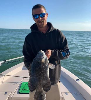 Cape Canaveral, FL Tripletail