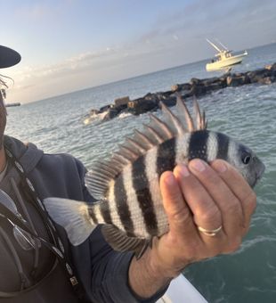 Deep sea fishing in Cape Canaveral, FL means offshore structure, strong fights, and nonstop Gulf Stream action.