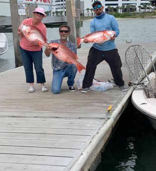 Dockside reds after a solid snapper run!