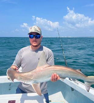 Chart Your Course with Myrtle Beach Shark Fishing