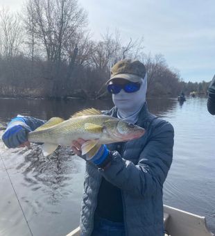 Walleye Fishing in Peshtigo River
