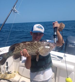 Majestic Gag Grouper Caught In Beaufort, NC