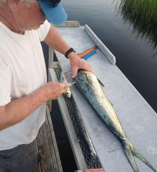 Mahi fishing in Carolina Beach