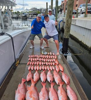 Snappers assorted size catches on Fort Myers