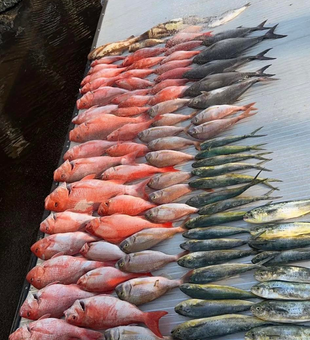 Fort Myers Top Fishing Guides