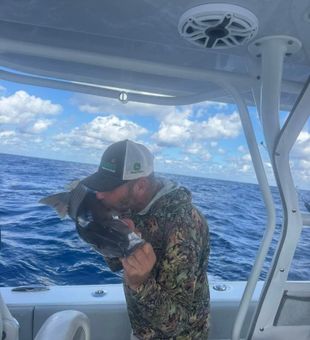 Chasing bites under the Florida sun.
