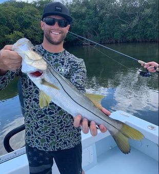 Caught a snook in Anna Maria Island