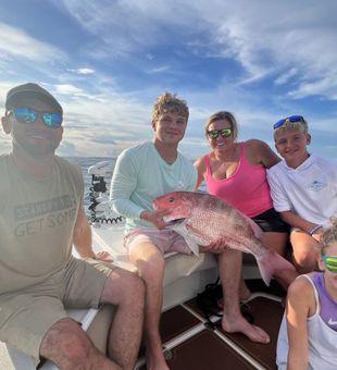 Florida's Snapper Beauty Captured