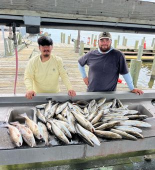 Explore fish-filled Lake Louisiana