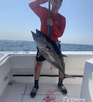 San Diego sportfishing: Catch Bluefin Tuna!
