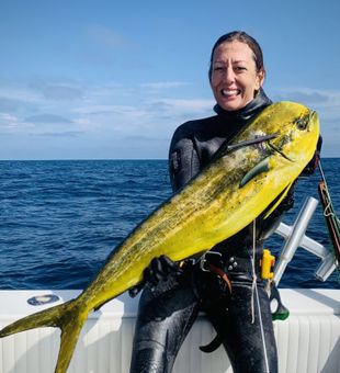 Hook into Mahi-mahi on our fishing charters.
