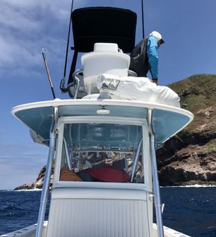 Explore Harbor Island's sportfishing charters now