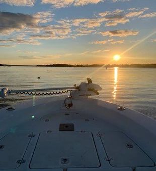 Summer mornings