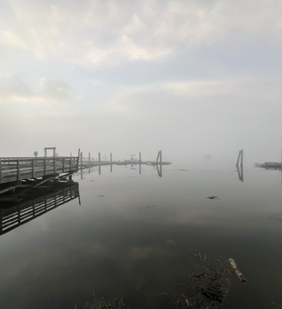 Casting lines on a partly cloudy day at Water Street - the perfect fly fishing setup!