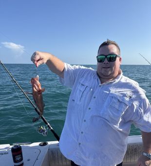 Set your line in Clearwater, Florida—where premium fishing comes standard.