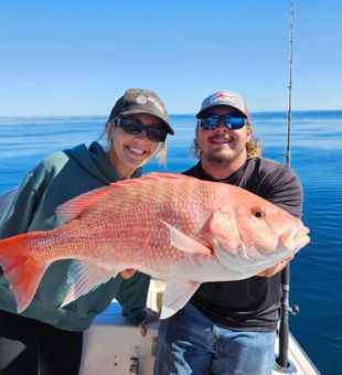 Beautiful red snapper from Clearwater FL waters!