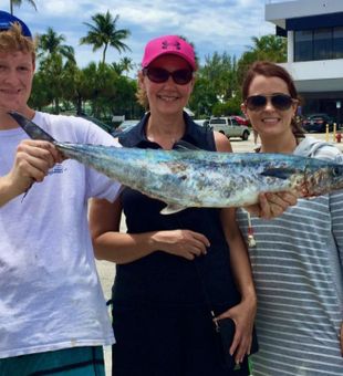 King Mackerel in visuals
