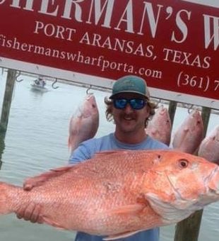 Red Snapper Fishing In Texas