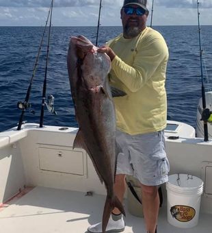 Blackfin Tuna Fishing In Port Aransas, TX