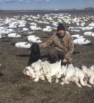 Snow Goose Hunts