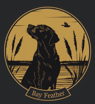 Port Mansfield Fishing Charter - Bay Feather 