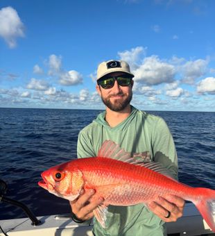 Queen Snapper reeled In - Fairfax, VT.
