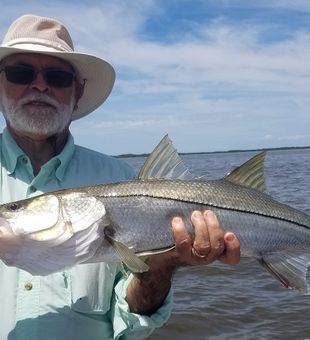 Snook Fishing in Crystal River