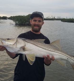 Early Bird Charters