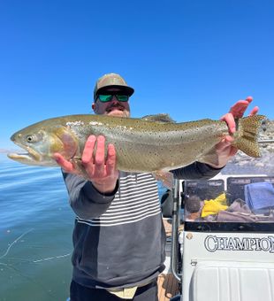 Landed this beauty near Reno NV