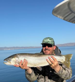 Epic fly fishing at Pyramid Lake