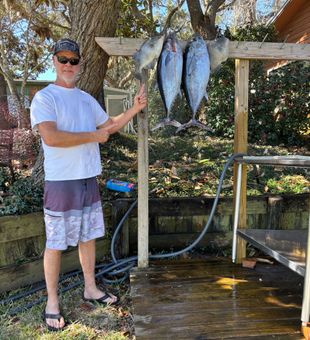 Black fin tuna and triggerfish. A great day on the water!
