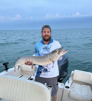 Musky catch – sharp and striking.